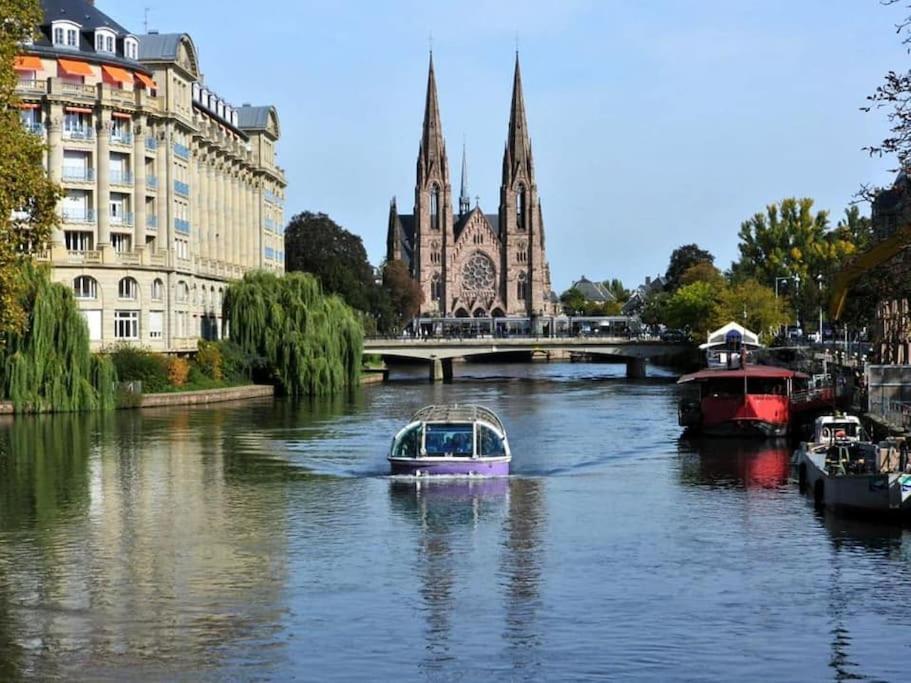 Alsace Bas-Rhin Logis Independant Avec Piscine Privee Lägenhet Alteckendorf Exteriör bild