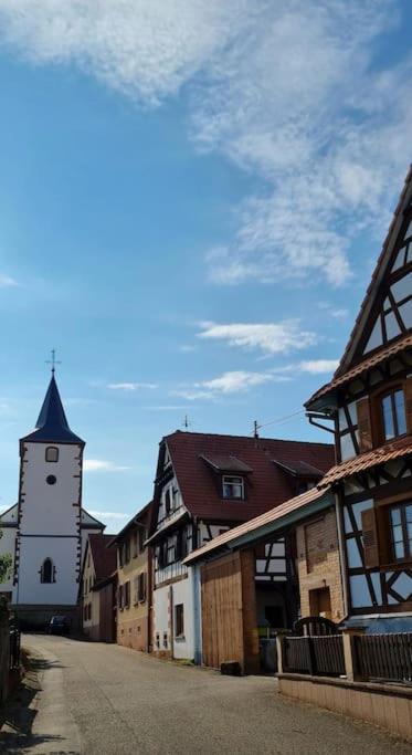 Alsace Bas-Rhin Logis Independant Avec Piscine Privee Lägenhet Alteckendorf Exteriör bild