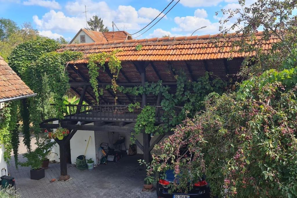 Alsace Bas-Rhin Logis Independant Avec Piscine Privee Lägenhet Alteckendorf Exteriör bild